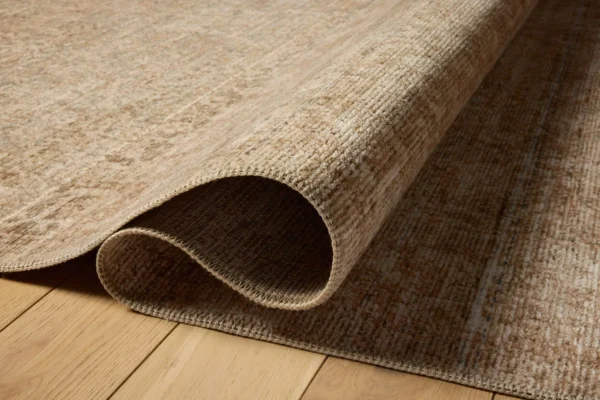Molly Area Rug 2'3"x3'10" - Image 4